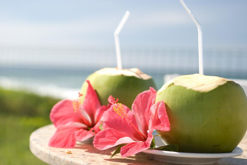 Oyo Hotel Arembepe Beach Hotel, Camacari Zewnętrze zdjęcie